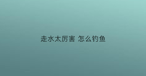 走水太厉害怎么钓鱼(走水历害怎么钓鱼)